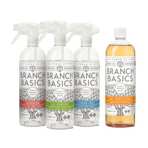 Cleaning Essentials Kit